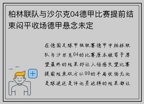柏林联队与沙尔克04德甲比赛提前结束闷平收场德甲悬念未定