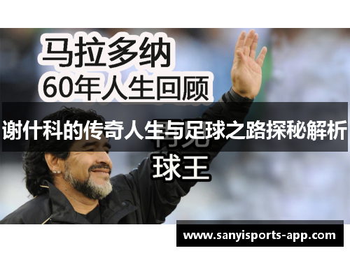 谢什科的传奇人生与足球之路探秘解析